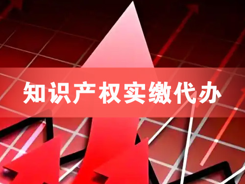 北流知识产权实缴资本代办